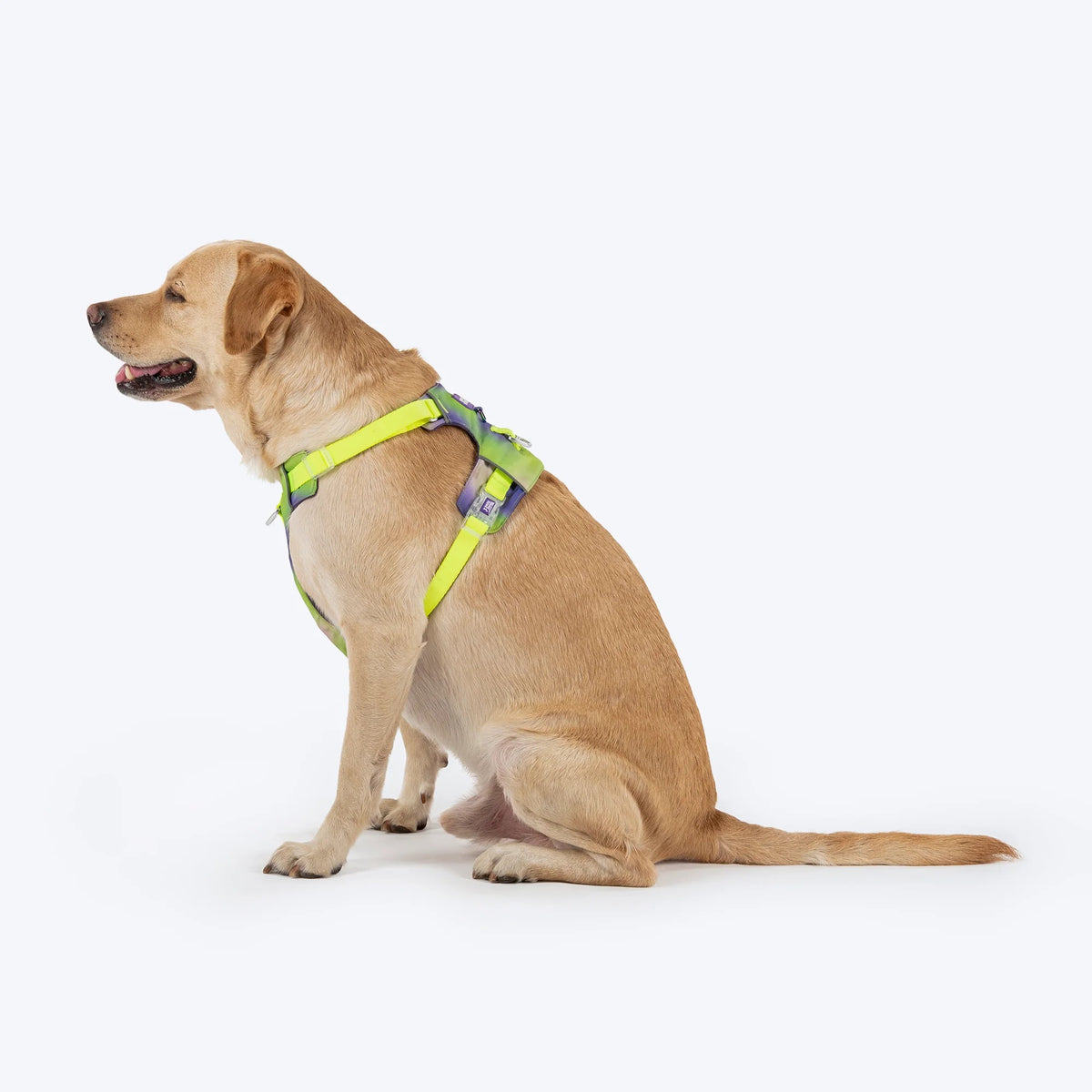 Dash Dog Neon Fusion Outdoor Fit Harness For Dog - Neon Green