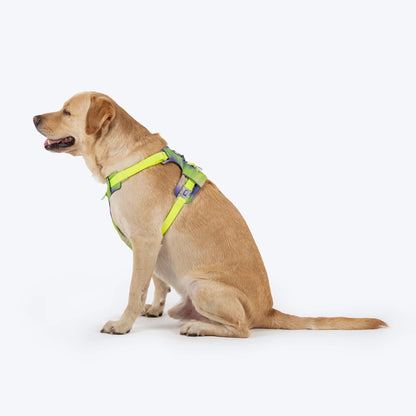 Dash Dog Neon Fusion Outdoor Fit Harness For Dog - Neon Green