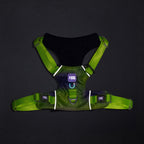 Dash Dog Neon Fusion Outdoor Fit Harness For Dog - Neon Green