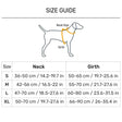 Dash Dog Neon Fusion Outdoor Fit Harness For Dog - Neon Green