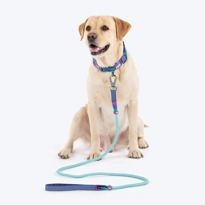 Dash Dog Wanderer Rope Leash For Dog - Aqua Blue