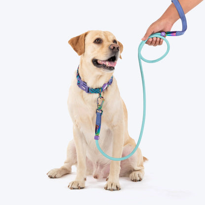 Dash Dog Wanderer Rope Leash For Dog - Aqua Blue