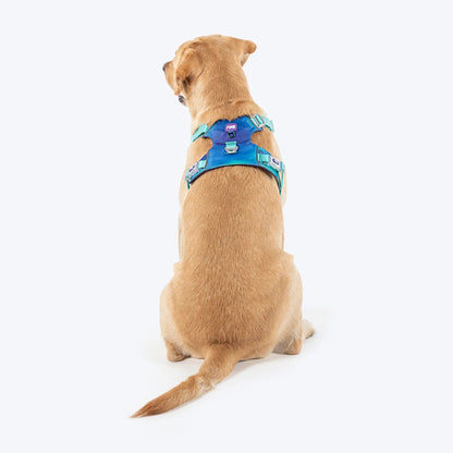 Dash Dog Seafoam Storm Outdoor Fit Harness For Dog - Aqua Blue