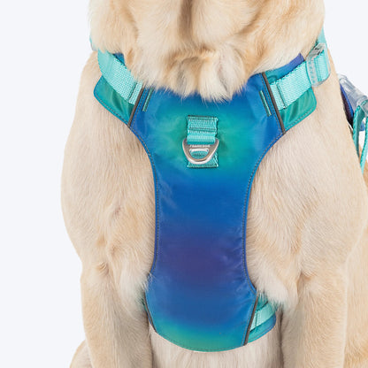 Dash Dog Seafoam Storm Outdoor Fit Harness For Dog - Aqua Blue