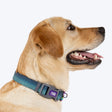 Dash Dog Trail Tails Waterproof Collar & Leash Set For Dog - Blue