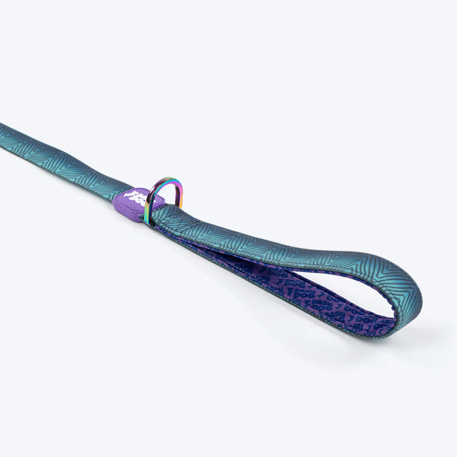 Dash Dog Trail Tails Waterproof Collar & Leash Set For Dog - Blue