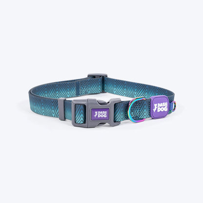 Dash Dog Trail Tails Waterproof Collar & Leash Set For Dog - Blue
