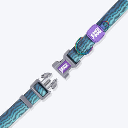 Dash Dog Trail Tails Waterproof Collar & Leash Set For Dog - Blue