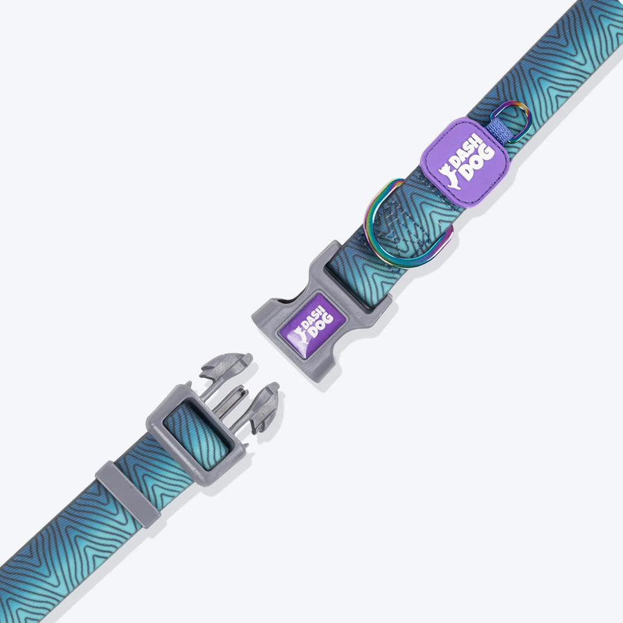 Dash Dog Trail Tails Waterproof Collar & Leash Set For Dog - Blue