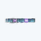 Dash Dog Trail Tails Waterproof Collar & Leash Set For Dog - Blue