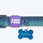 Dash Dog Trail Tails Waterproof Collar & Leash Set For Dog - Blue