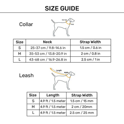 Dash Dog Trail Tails Waterproof Collar & Leash Set For Dog - Blue