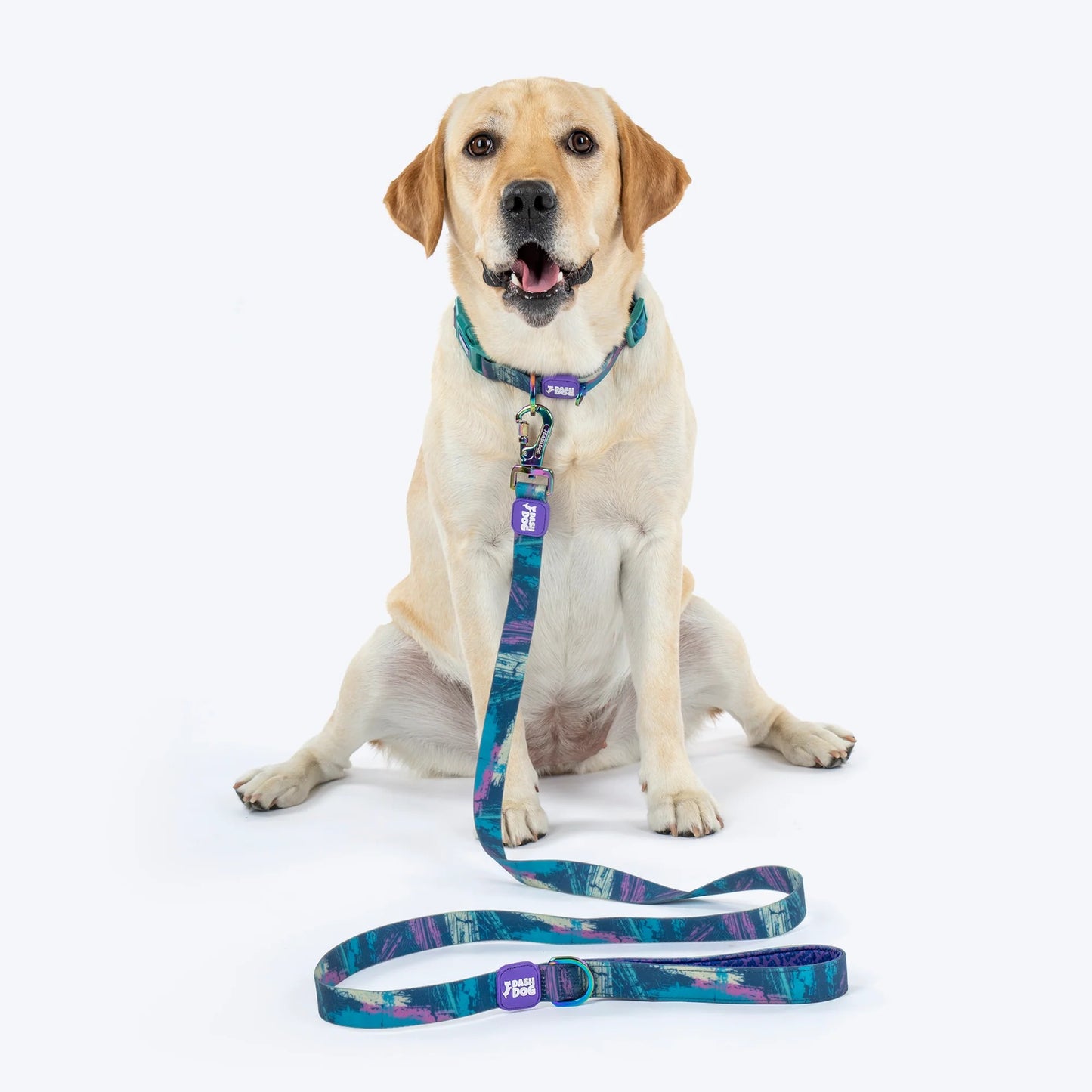 Dash Dog Wild Ridge Waterproof Collar & Leash Set For Dog - Green