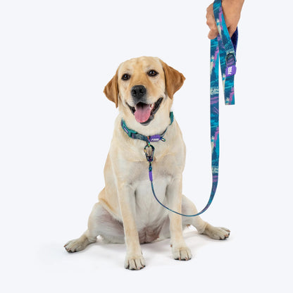 Dash Dog Wild Ridge Waterproof Collar & Leash Set For Dog - Green