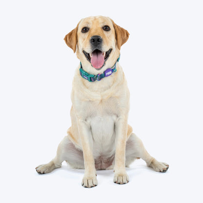 Dash Dog Wild Ridge Waterproof Collar & Leash Set For Dog - Green
