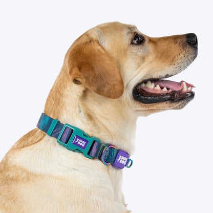 Dash Dog Wild Ridge Waterproof Collar & Leash Set For Dog - Green