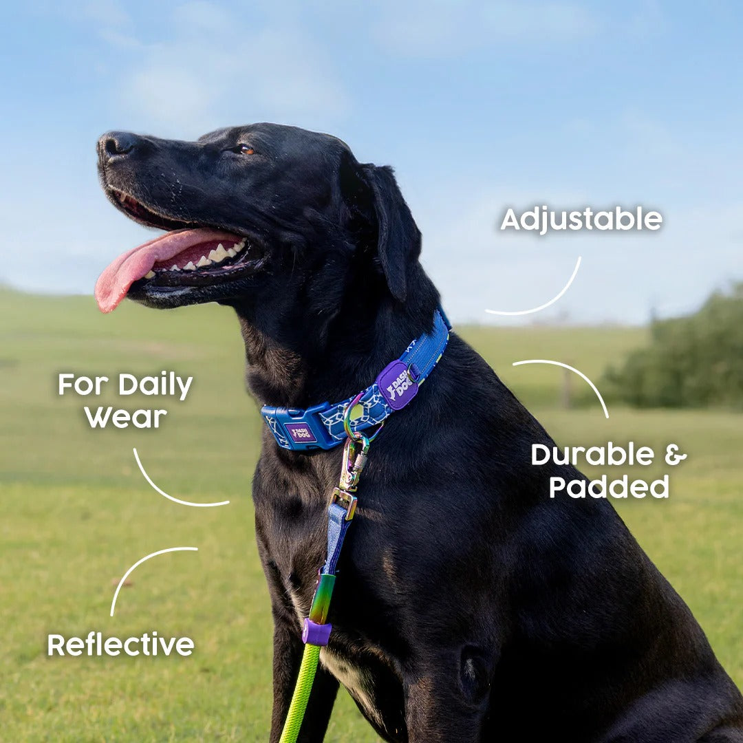 Dash Dog Wildcrest Padded Collar For Dog -  Blue & Neon Green