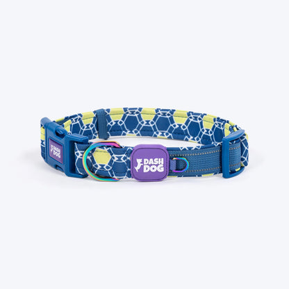 Dash Dog Wildcrest Padded Collar For Dog -  Blue & Neon Green