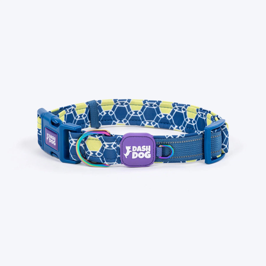 Dash Dog Wildcrest Padded Collar For Dog -  Blue & Neon Green