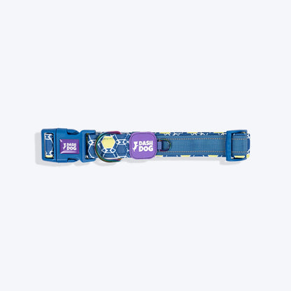 Dash Dog Wildcrest Padded Collar For Dog -  Blue & Neon Green