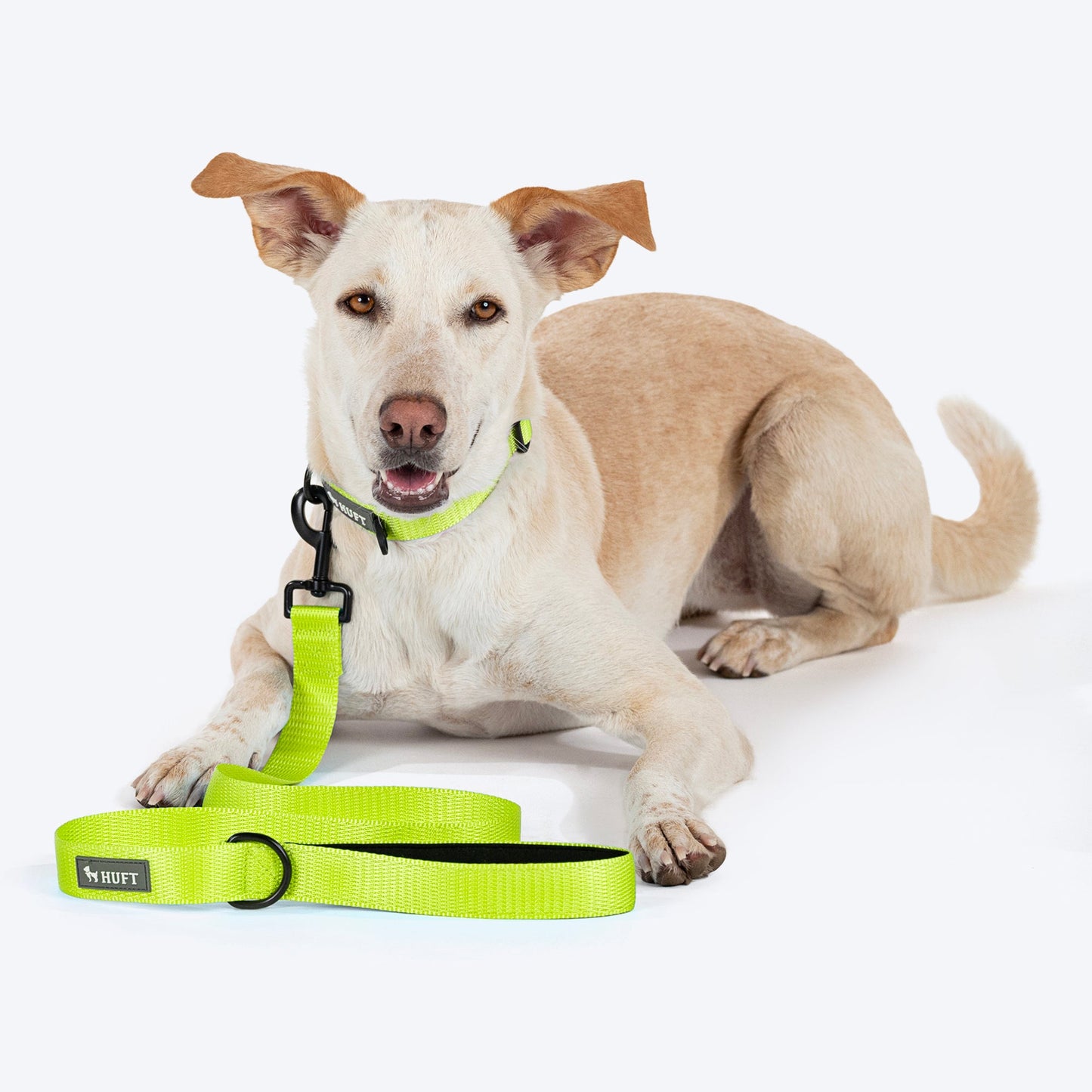 HUFT Basics Dog Leash - Neon Green - Heads Up For Tails