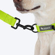HUFT Basics Dog Collar - Neon Green - Heads Up For Tails