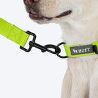 HUFT Basics Dog Collar - Neon Green - Heads Up For Tails