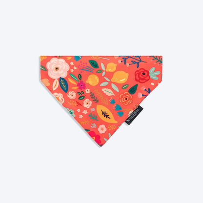 HUFT Blooming Days Printed Dog Bandana - Orange_01