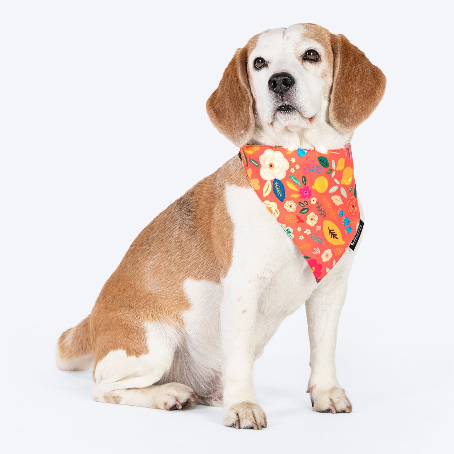 HUFT Blooming Days Printed Dog Bandana - Orange_03