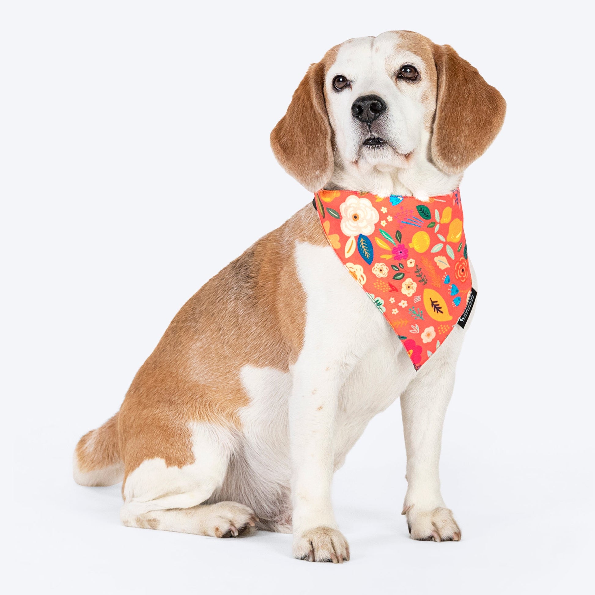 HUFT Blooming Days Printed Dog Bandana - Orange_03