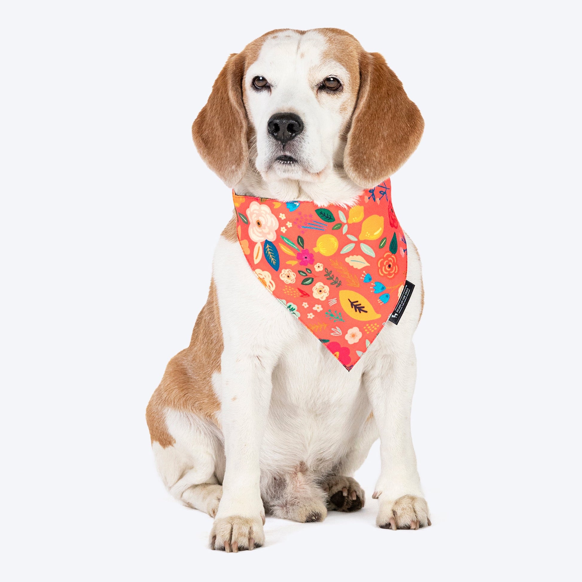 HUFT Blooming Days Printed Dog Bandana - Orange_04