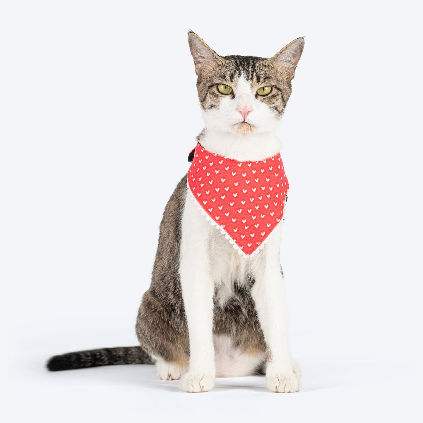 HUFT Heartstrings Printed Scarf For Cat & Puppy - Red