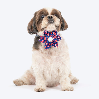 HUFT Heartpop Printed Bow Tie With Strap For Dog - Blue