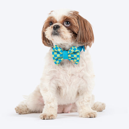 HUFT Pawsitevely Checked Bow Tie With Strap For Dog - Arctic Blue