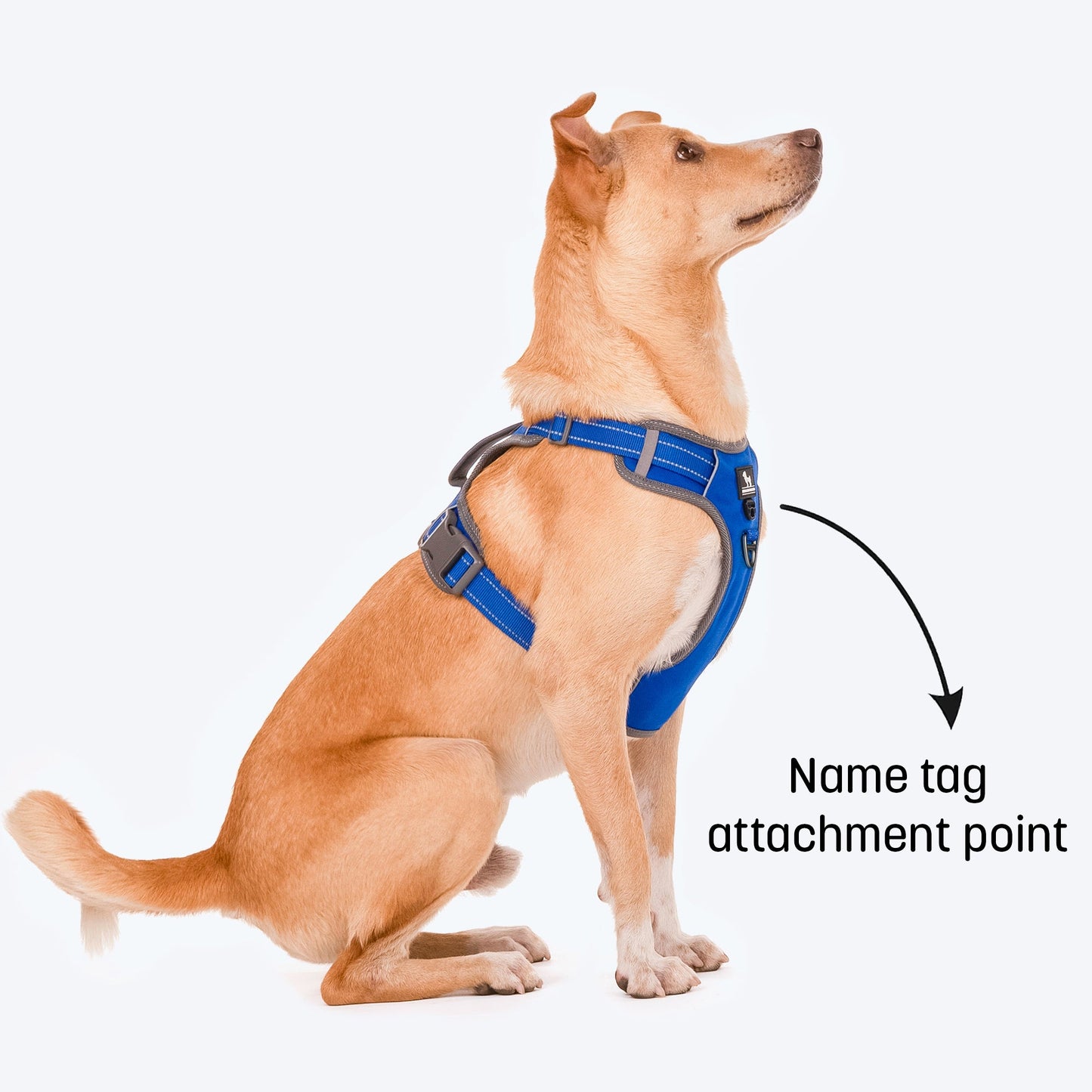 HUFT Active Pet Dog Harness - Royal Blue