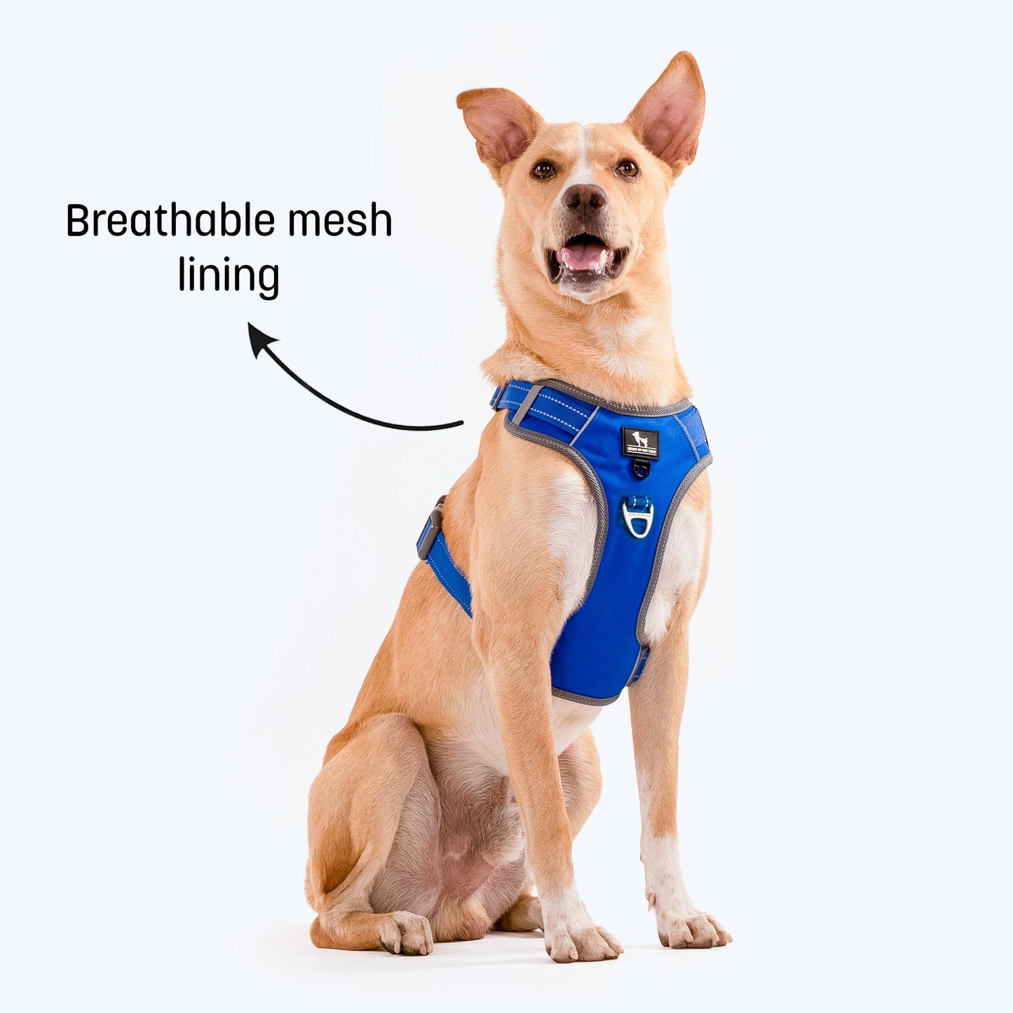 HUFT Active Pet Dog Harness - Royal Blue