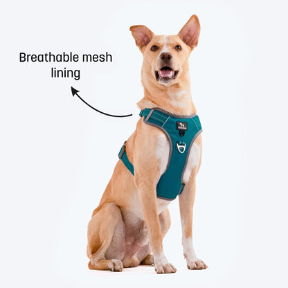 HUFT Active Pet Dog Harness - Teal Blue