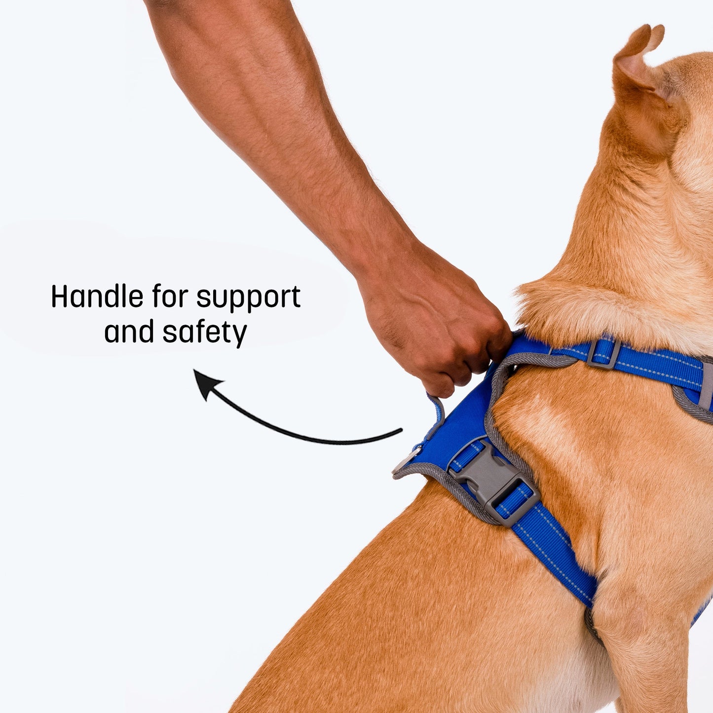 HUFT Active Pet Dog Harness - Royal Blue