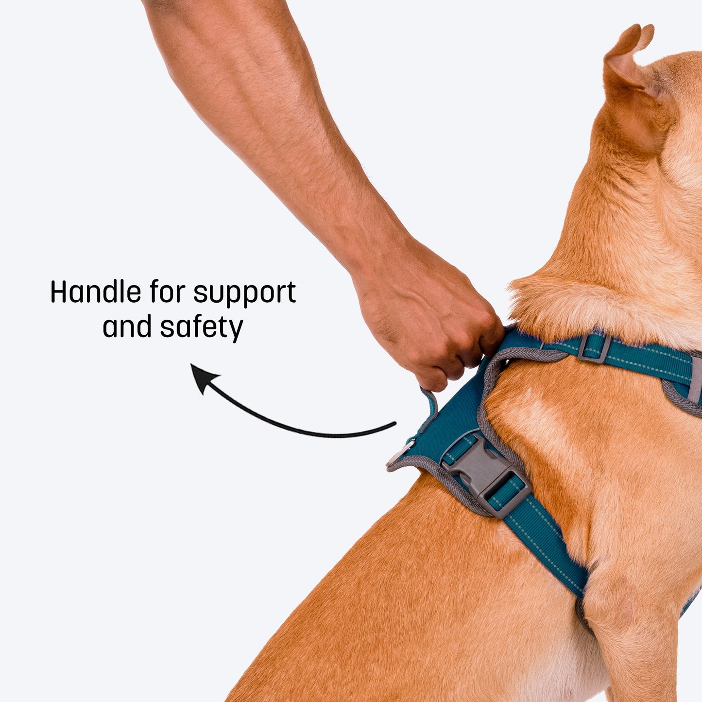 HUFT Active Pet Dog Harness - Teal Blue