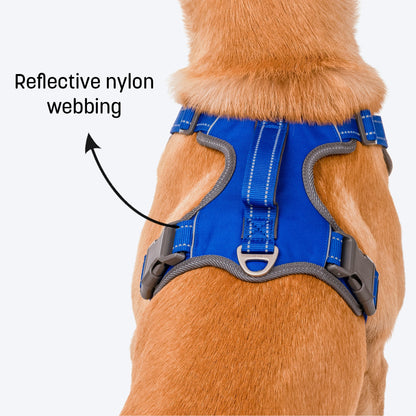 HUFT Active Pet Dog Harness - Royal Blue