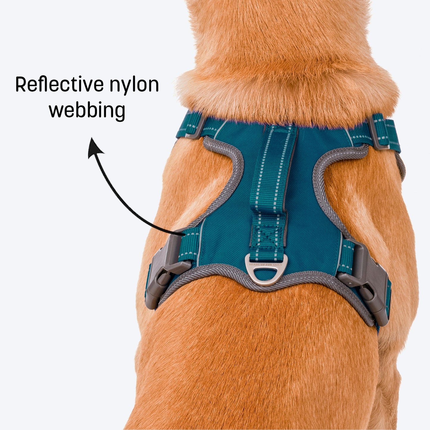 HUFT Active Pet Dog Harness - Teal Blue