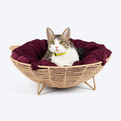 HUFT Feline Cane Bed With Cushion For Cat - Beige