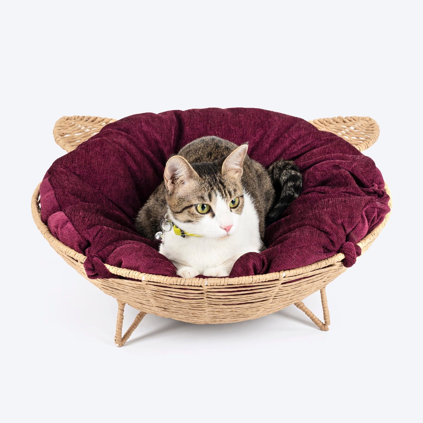 HUFT Feline Cane Bed With Cushion For Cat - Beige