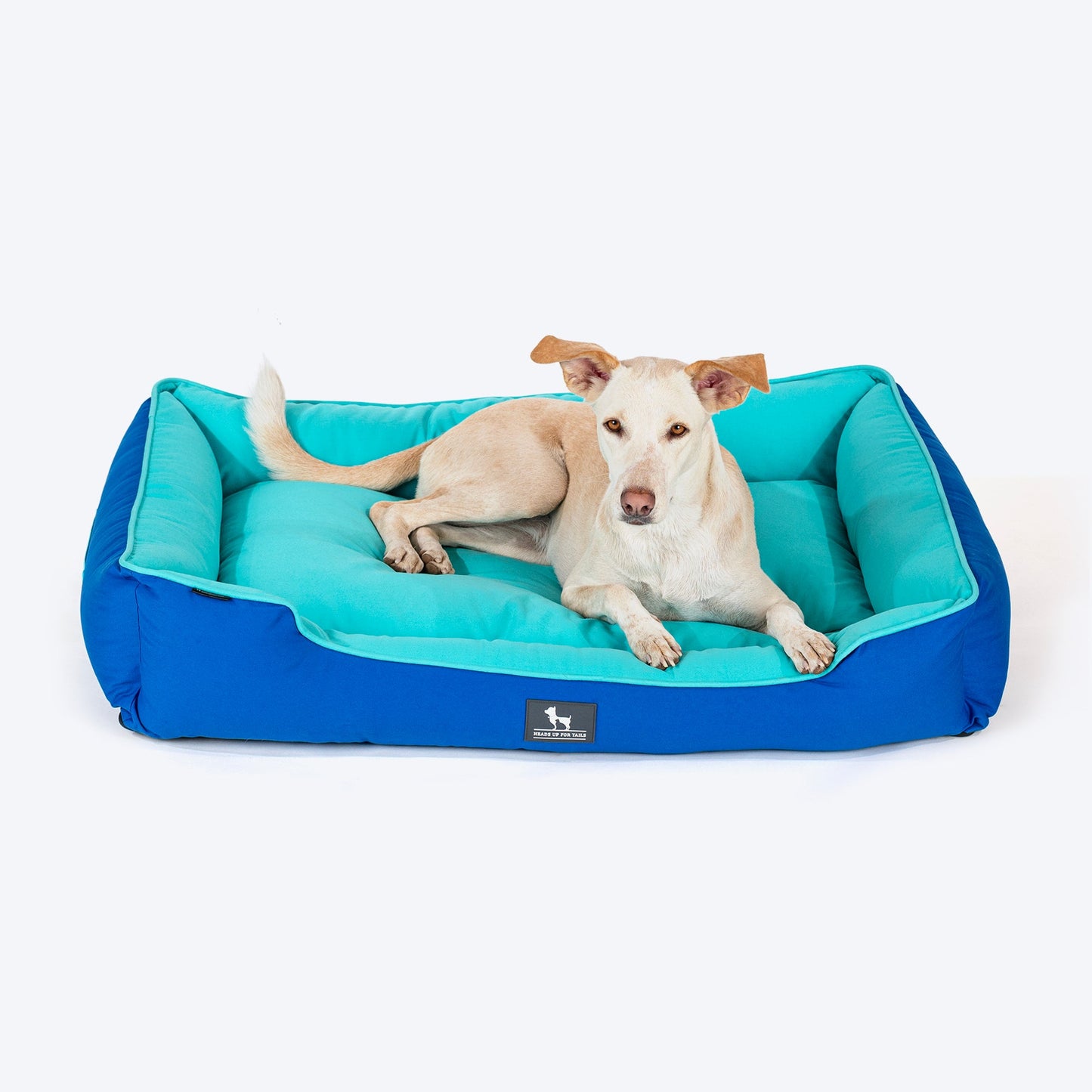 HUFT Classic Lounger Dog Bed - Blue & Turquoise