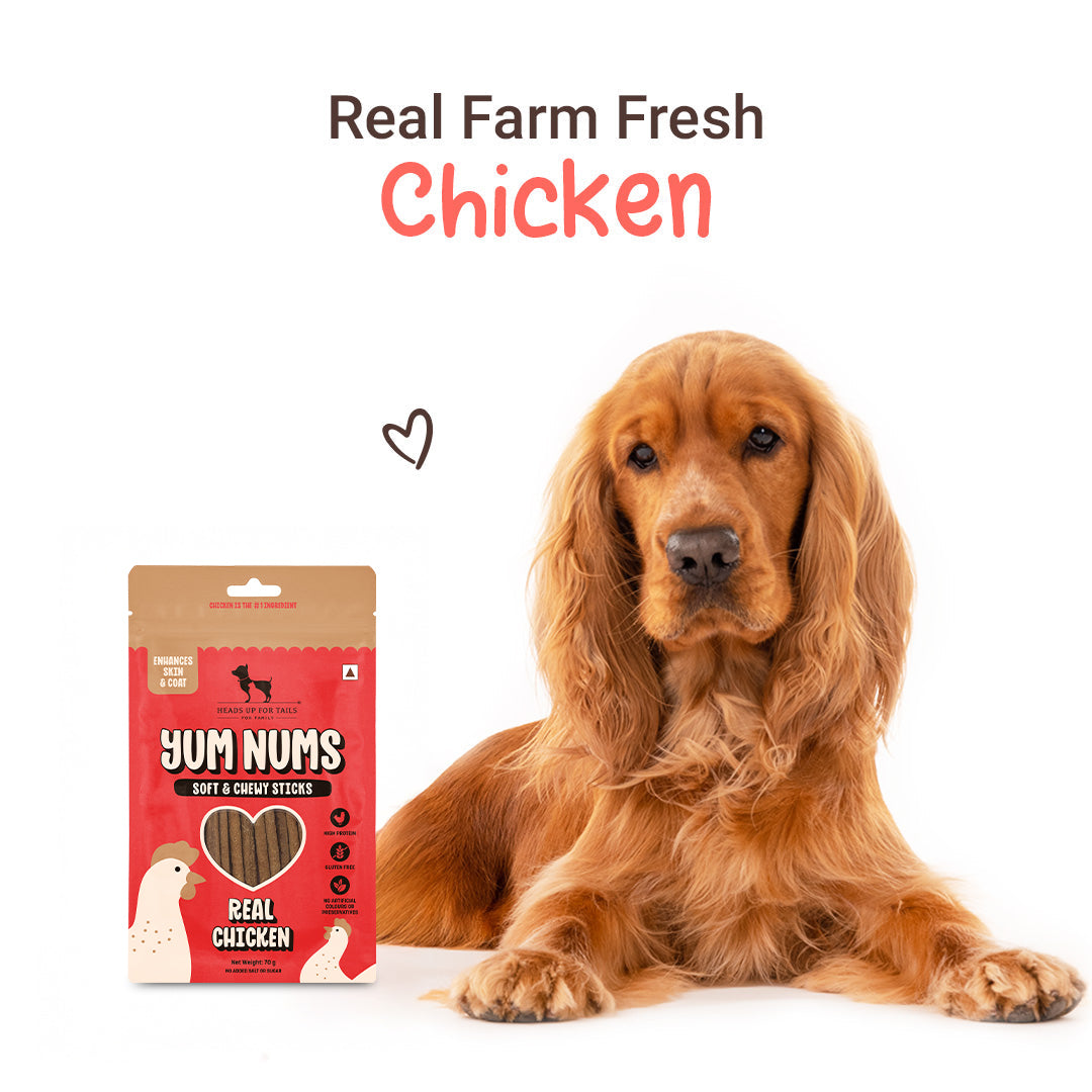 HUFT Yum Nums Real Chicken Soft Sticks Treat For Dogs - 70g