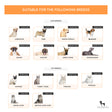 HUFT Double Sided Brush for Dogs & Cats - Orange