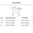 Dash Dog Flow Dual Handle Leash For Dog - Red & Purple