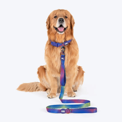 Dash Dog Chevron Dual Handle Leash For Dog - Purple