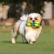 Dash Dog Extreme Play Squeaky Dumbbel Toy For Dog - Green