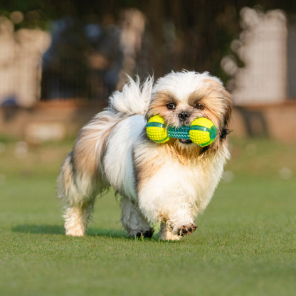 Dash Dog Extreme Play Squeaky Dumbbel Toy For Dog - Green